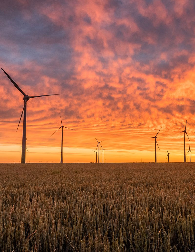 Wind farm at sunset